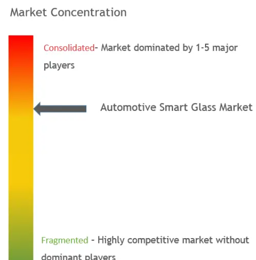 Automotive Smart Glass Market Concentration